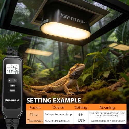 Image of Dual Reptile Light Fixture with Timer & PID Dimming Thermostat, Day-Night Heat & Light Cycle, Heat Lamp for Bearded Dragons Terrariums, Max 160W Per Socket (No Bulbs)