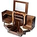 FURUIWUFENG Make-up-Box Übergroße Kosmetik und Schmuck Integrated Storage Box Desktop Mirror Storage Box Rack-Versatile Sorting Box Makeup Speicher Schönheitsbox