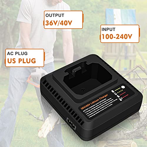 36V/40V Max Fast Charger Lcs36 Lcs40 Compatible With Black And Decker 36V/40V Lithium Battery Lbxr36 Lbxr2036 Lbx36 Lbx1540 Lbx2040 Lbx2540 Lst540 Lcs1240 Lst136W #TOP1