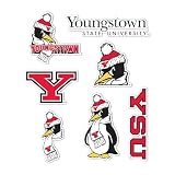Desert Cactus Youngstown State University Sticker YSU Penguins Vinyl Decals Laptop Water Bottle Car Scrapbook Sheet T2 (Type 2)