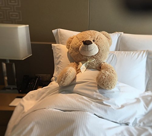 XXL Teddybär 1m Hellbraun Kuschelbär Kuscheltier Stofftier Bär Teddy – Bild 3