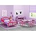 Minnie Multi-Bin Toy Organizer
