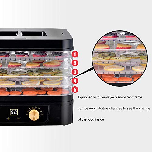 DAETNG Premium-Elektro-Dörrgerät, Digitale Zeitschaltuhr und einstellbare Thermostat-Temperaturregelung, 5 Tabletts mit… – Bild 3