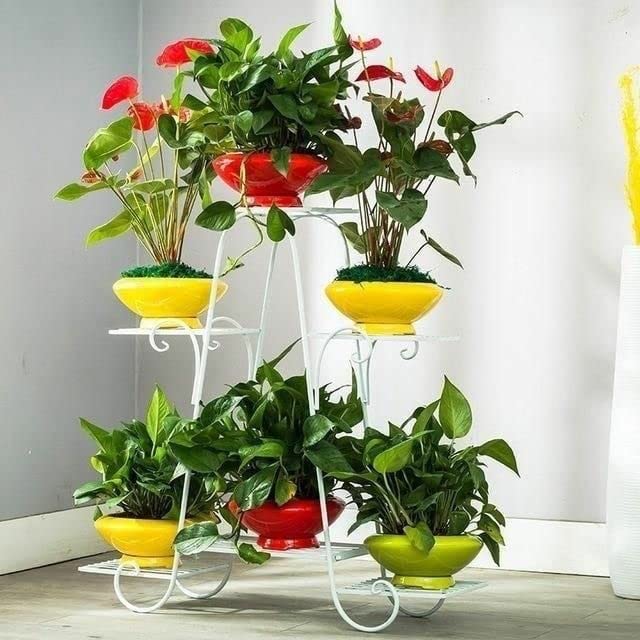 See full amazon price history chart for THE PLANT FAIRIES Iron Plant Stand/Pot Stand ( White, 6 Pot Holder). THE PLANT FAIRIES Iron Plant Stand/Pot Stand ( White, 6 Pot Holder). (B0BL3ZJK5W) Amazon Price History, Amazon Price Tracker