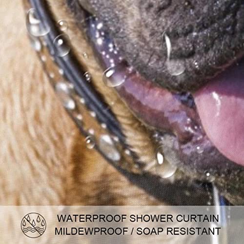 Rideau de douche Bulldog anti-éclaboussures pour garder le sol sec - 4