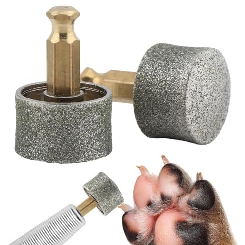 Dognailgrinderreplacementheaddiamondtipsdrillbitpetnailgrindingwheelprofessionaldogandcatsclawsmoothinggrinderbitsforelectricpetpawtrimmersize4pcs  Cucciolini Doodles   cucciolini doodles