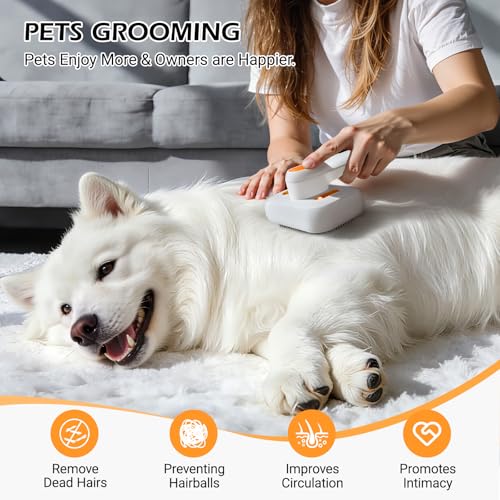Image of 3-in-1 Pet Mist Brush for Dogs & Cats, Self-Cleaning,Rechargeable | ABS Body，Round-Tipped Comb Pins，Indoor Cat & Dog Grooming，Reduces Shedding，Controls Loose Flying Fur