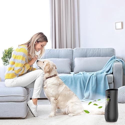 DZUEKOMI Automatic Air Freshener Spray Dispenser (2-Pack), Free Standing or Wall Mounted Adjustable Aromatherapy Machines for Home, Indoor, Bathrooms, Offices, Hotels and Commercial Places (B-01) - Image 3