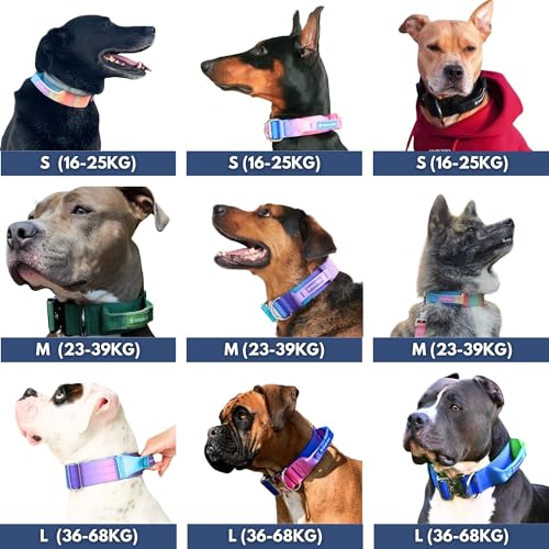 Spark Paws Taktisches Hundehalsband – Robuste, Premium-Qualität, Dick und Langlebig für Große und Mittelgroße Hunde M: 23-39kg [3.8cm]
