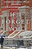 If I Forget You: A Novel