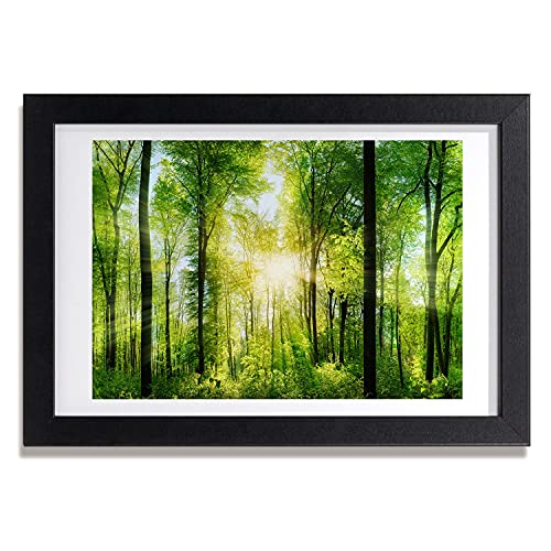 Peinture Photo Foret Au Soleil Tulup Cadre MDF Haute Qualité