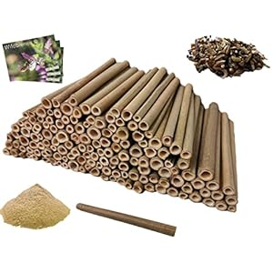 aktiongruen Mega Pack Bamboebuisjes insectenhotel knutselspullen 200 nestbuizen 17 cm met 300 g leempoeder