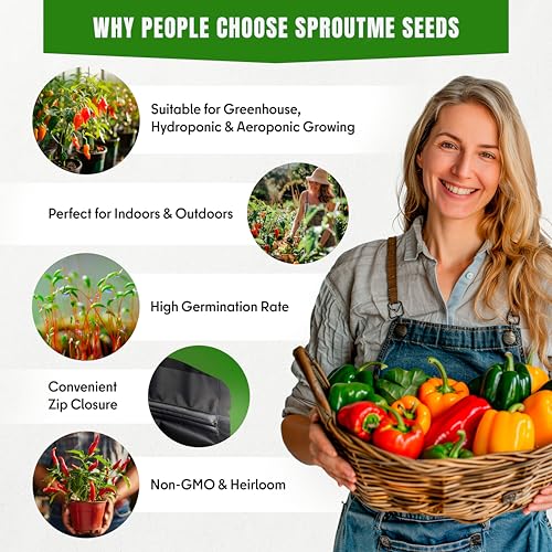 Cayenne Pepper Seeds for Planting – 50 Non-GMO Heirloom USA-Grown Hot Chili 30,000–50,000 SHU with High Germination (Capsicum annuum) - Image 4