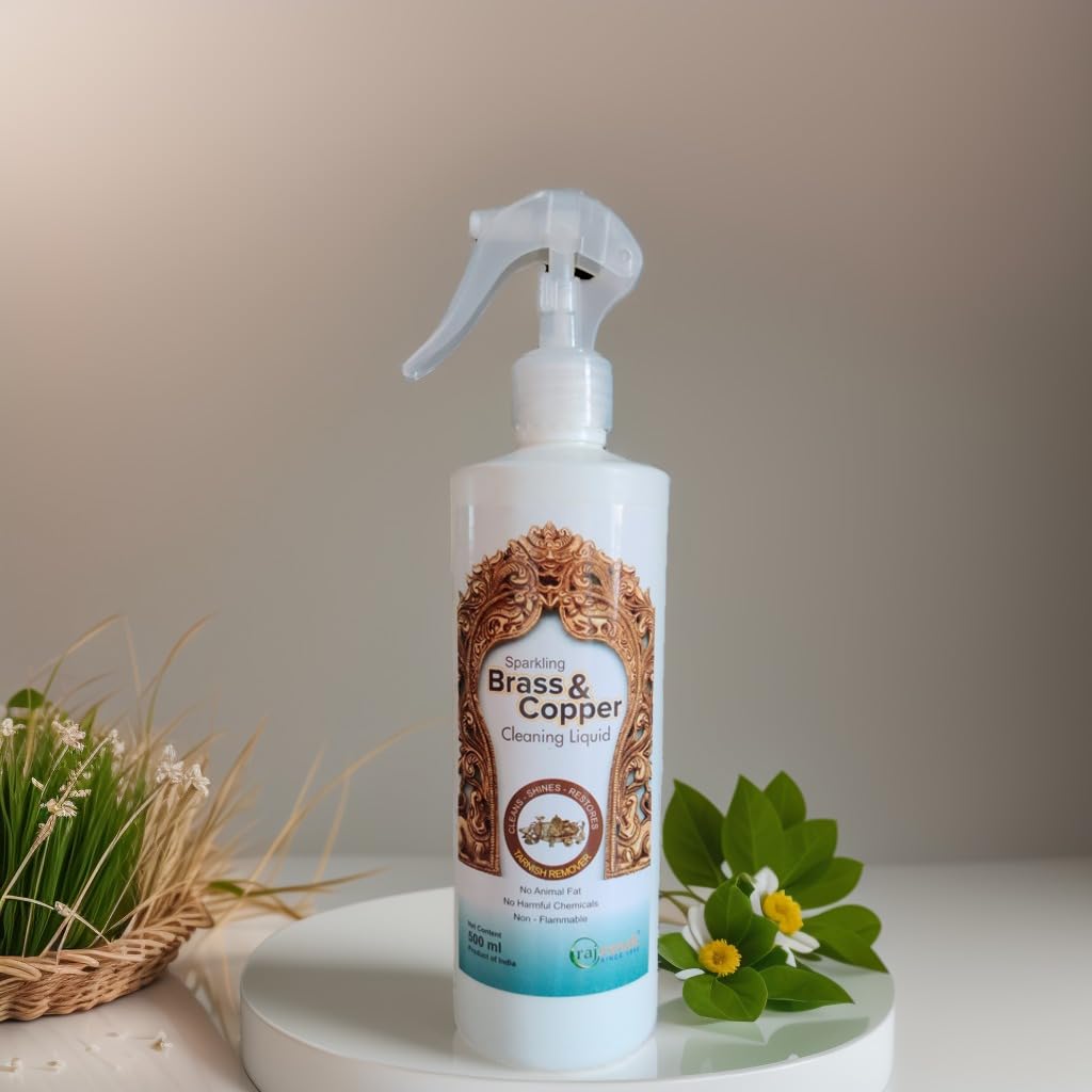 Mr. CleanPlus Cleans all Brass and copper related items 500 ML