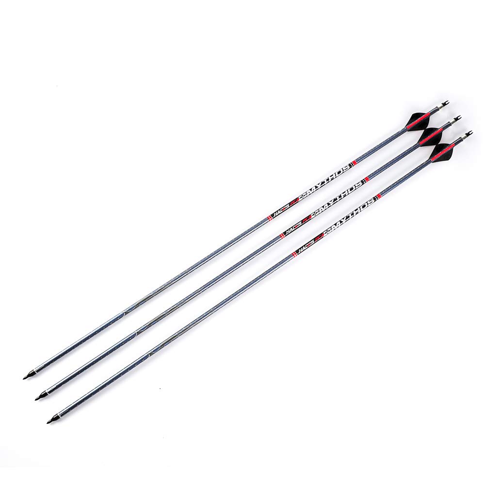 Buy Musen 30 Inch Carbon Archery Arrows Spine 550 with Removable Tips and ExplosionProof Rings