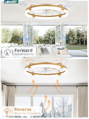 Image of LEDIARY 24 inch Ceiling Fans with Lights and Remote, Modern Low Profile Ceiling Fan, 3 CCT, Stepless Dimmable, Fandelier Flush Mount Fan Light, 6 Speeds, DC Motor, App & Remote Control for Bedroom(Gold)