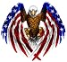 American Flag Eagle Wings Large 10 inch Decal