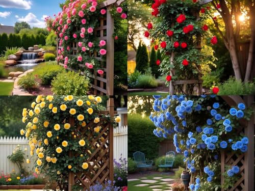 Image of Climbing Rose Flower Seeds,75 Seeds Pack, Year-Round Blooms (10 MIX)