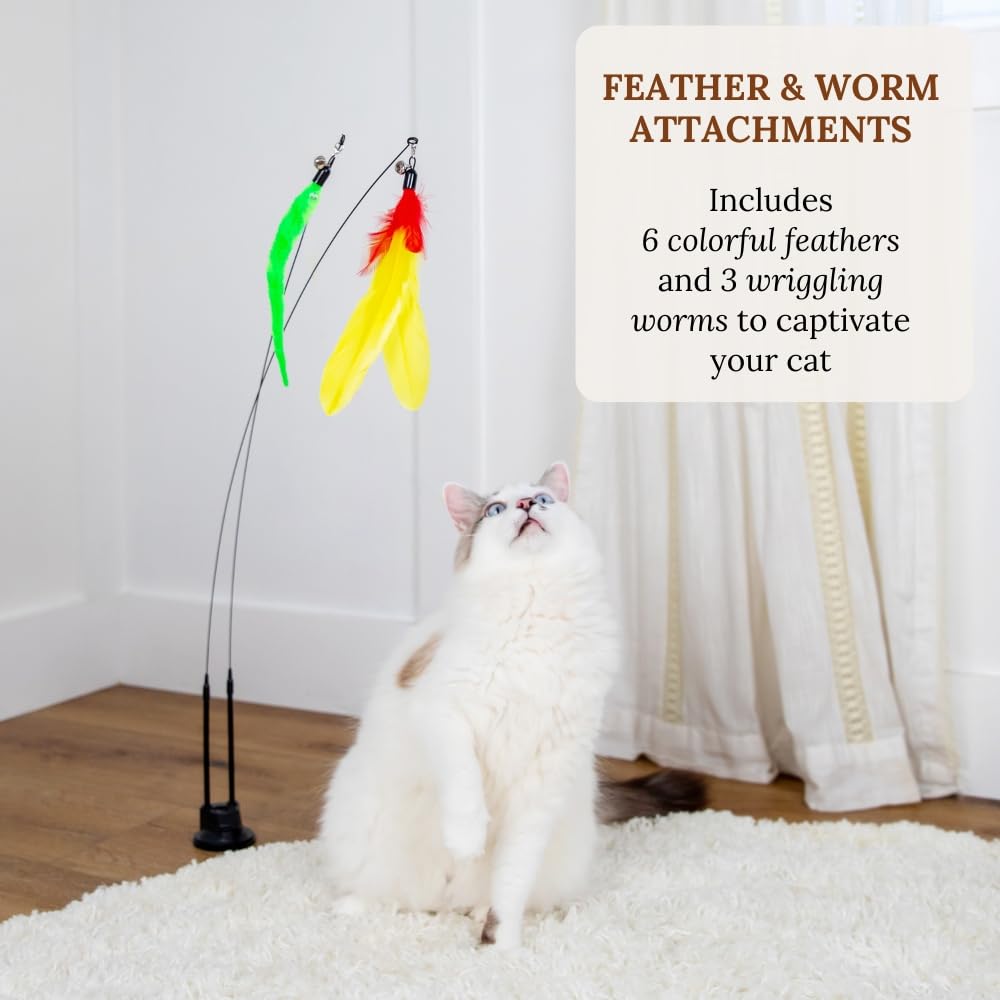 Katzenspielzeug, Angelrute, Federn, Saugnapf für Katzen, Federzubehör, mehrflächige Basis