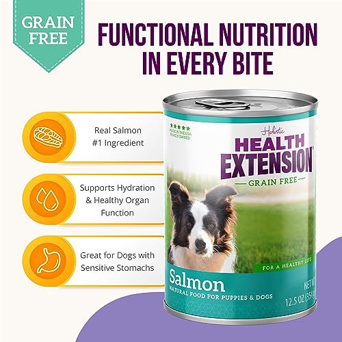 Health Extension Salmon Entrée Wet Dog Food Grain-Free, 12.5 oz – Protein-Rich Recipe, Hydration Support, Ideal for Sensitive Stomachs (Case of 12 Cans)