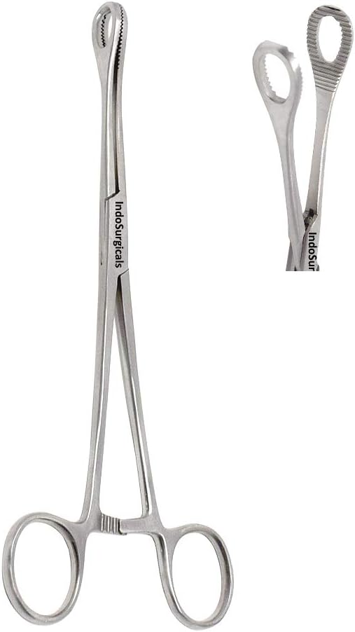 IS IndoSurgicals Sponge Holder/Holding Forceps (10", 1)