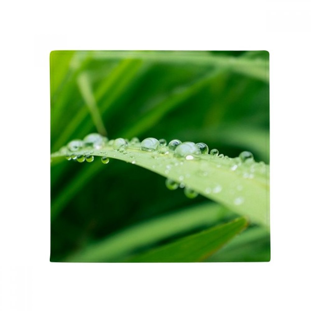 Tapis de cuisine antidérapant avec motif feuille verte nature