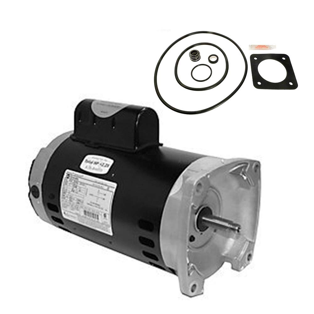 Puri TechSta-Rite Dura-Glas 1.5HP P2R5F-126L Replacement Motor Kit AO Smith SQ1152 w/GO-KIT-6