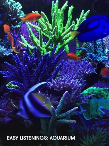 Easy Listenings: Aquarium