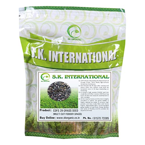 Image of SK ORGANIC COFS 29 Multicut Grass Seeds for cow buffalo goat cattle fodder 3 years variety (1kg)