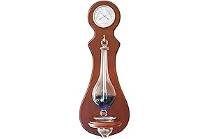 Ambient Weather Wall-Mounted Weather Station: Monitor Weather Conditions with Precision