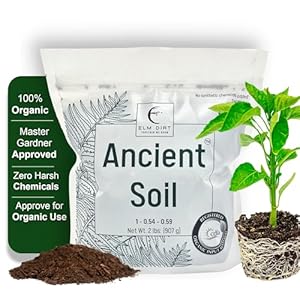 Elm Dirt Premium Ancient Soil for All Plants – Organic Plant Soil for Outdoor Plants & Indoor Plant Soil | Garden Soil for Plant Nutrients Growth & Protect your Plants Bugs – Roots Organic Soil (2lbs)