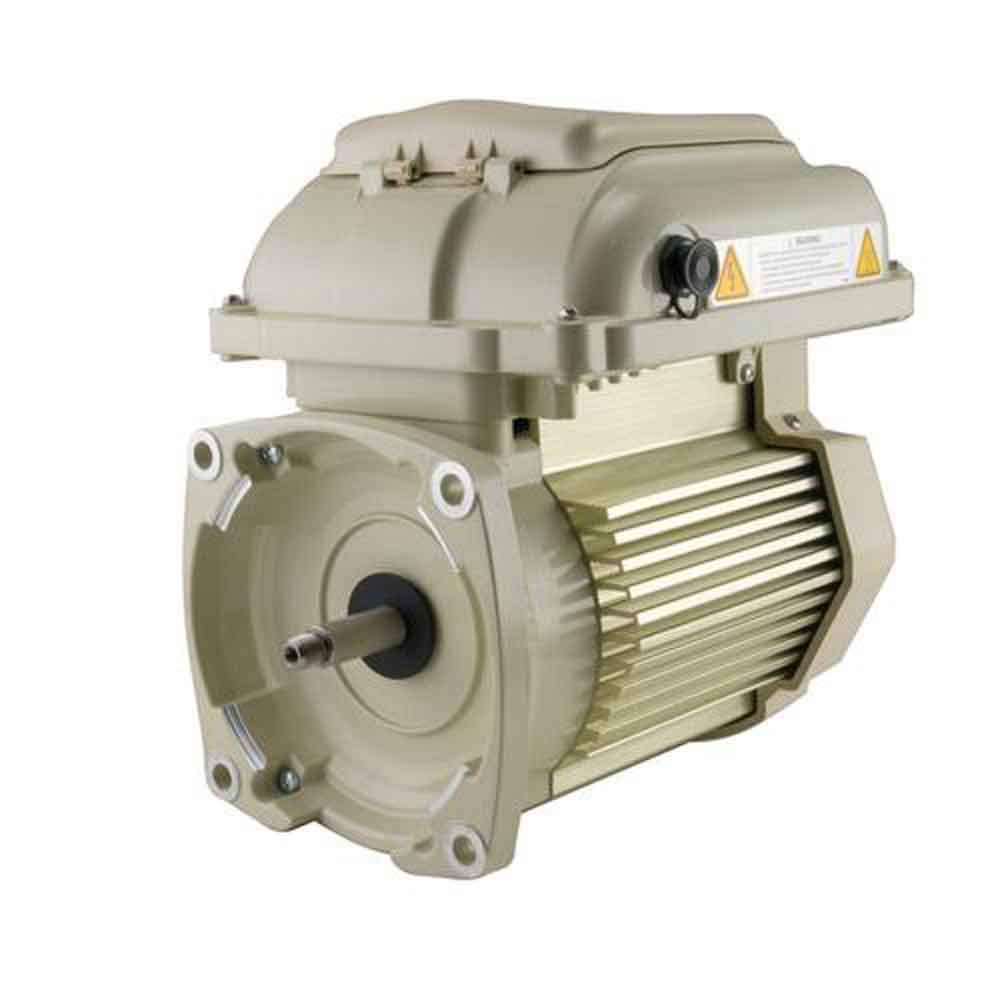 Pentair Superflo 342001 Motor/Drive Assembly | 353132S
