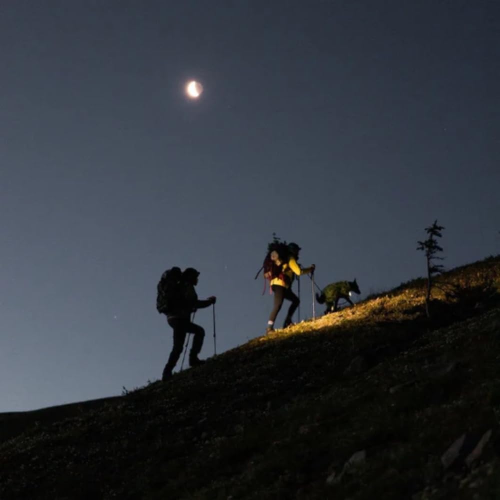 Adventure Light 2.0 - Das Original Wiederaufladbare LED Stirnlampe - Superhell 230° Weitwinkel, Gestengesteuert, Leicht, 3 Modi für Joggen, Angeln, Laufen