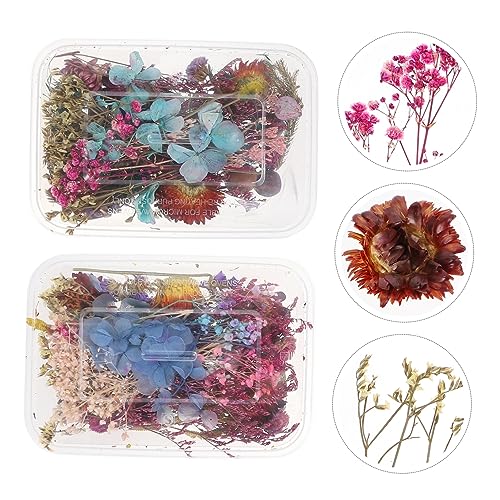 Flores secas mini para manualidades en caja miniatura 4