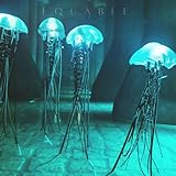 Photo Gallery e q u a b l e