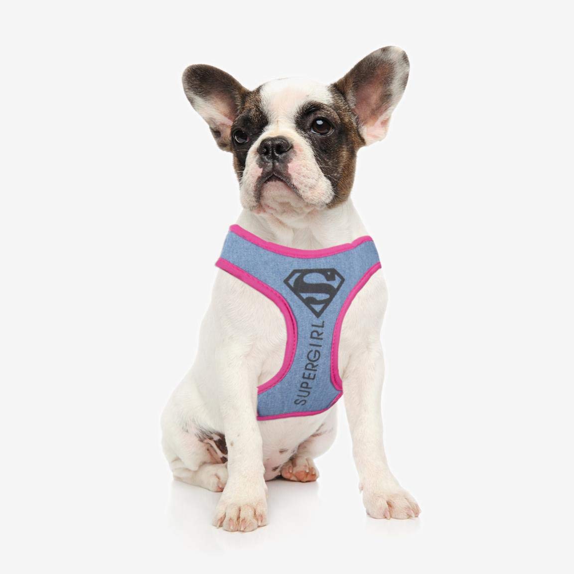 Cerdá Life's Little Moments Arnes Para Cachorros Desuper Girl 80 g