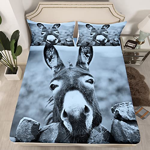 Our Best Bedding For Donkeys