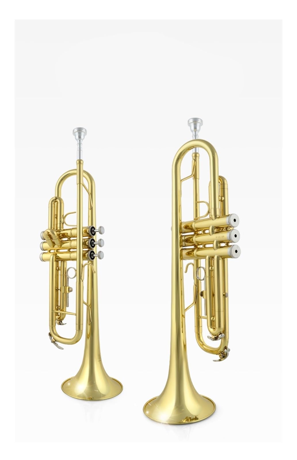 Amazon | パフォーマンストランペット楽器金管楽器Bフラット