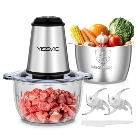 YISSVIC Elektrische hakmolen, 2 l, 500 W, dubbele kom van glas en roestvrij staal, 2 snelheden, 2 x 4 messen, antislip ring, vaatwasmachinebestendig, voor fruit, groenten, vlees, specerijen