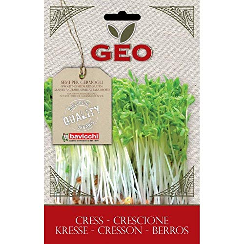 SEMI BIO DI CRESCIONE PER GERMOGLI 35GR SEMENZAIO SEMENTI SEEDS