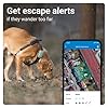 Tractive XL GPS Tracker for Dogs - Waterproof & Smart Pet Activity Tracker