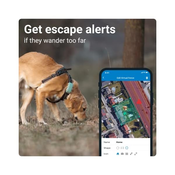 Tractive XL GPS Tracker for Dogs - Waterproof & Smart Pet Activity Tracker