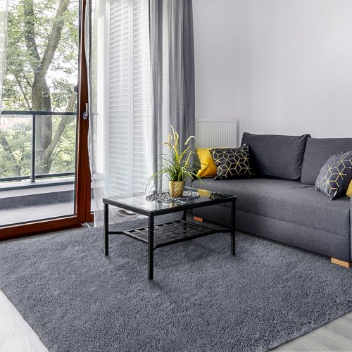 SOANNY Living Room Area Rug, Grey Large Luxury Soft Fluffy Shaggy Carpet for Bedroom Dorm Bedside Lounge Office Non-Slip