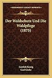 Der Waldschutz Und Die Waldpflege (1875)