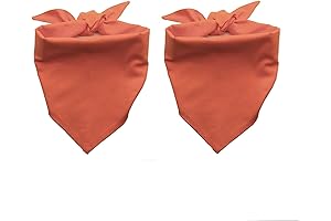 2 Pack Orange Dog Bandanas for Medium and Large Dogs