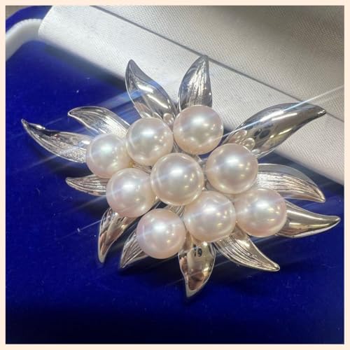 ������ �{�^��u���[�` �V���o�[ �i