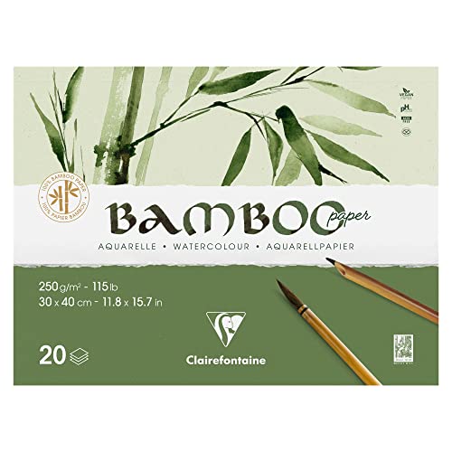Papier aquarelle bambou Clairefontaine 30x40 grain fin pour artistes exigeants