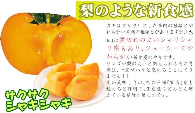 カキ 完全甘柿 太秋 プレミアム苗 1株/ 国華園 【ビルド】 25年秋商品