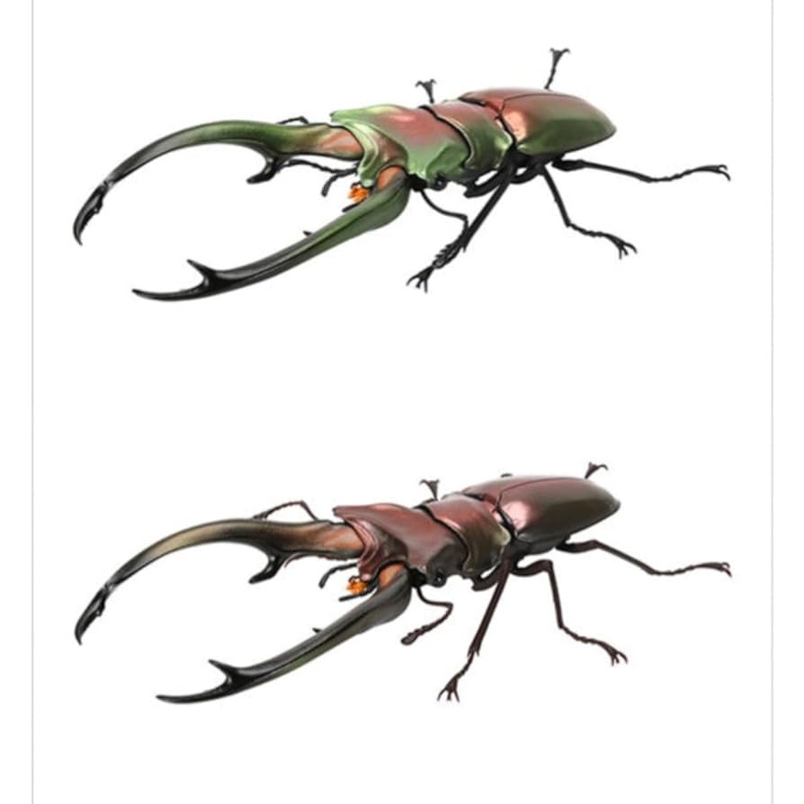 Amazon.co.jp: ガシャポン いきもの大図鑑 くわがた07 エラフス