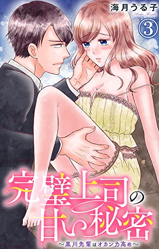 完璧上司の甘い秘密~黒川先輩はオカン力高め~ 3 (素敵なロマンス)